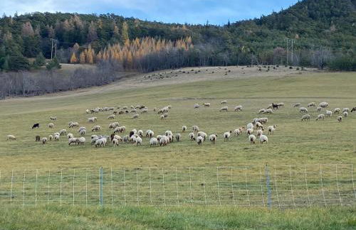 Superbe ferme rénovée en chalet de luxe en PLEINE NATURE - Foto 4