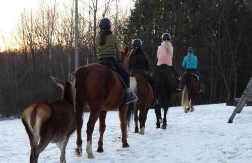 Baba Jagna - Foto 74