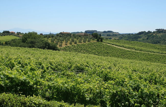 Tenuta di Monaciano - Foto 43