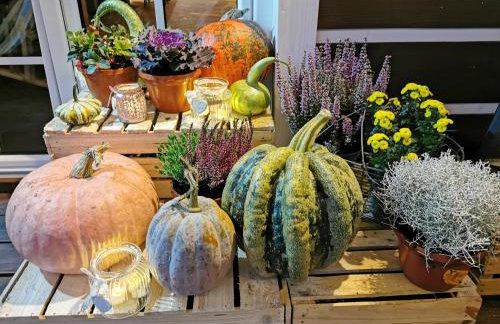 Górska Latarnia - Foto 47