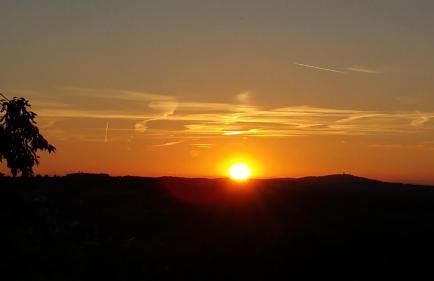 Ferienwohnung am Betzelhübel - Foto 23