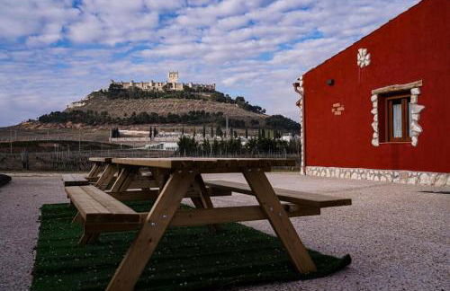 FINCA ENTREVIÑEDOS de Bodegas Marcos - Foto 25