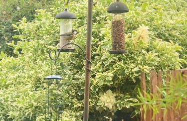 The Annexe at Walnut Tree Cottage - Foto 15