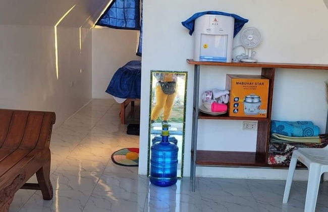 Live N Love - Photo 7