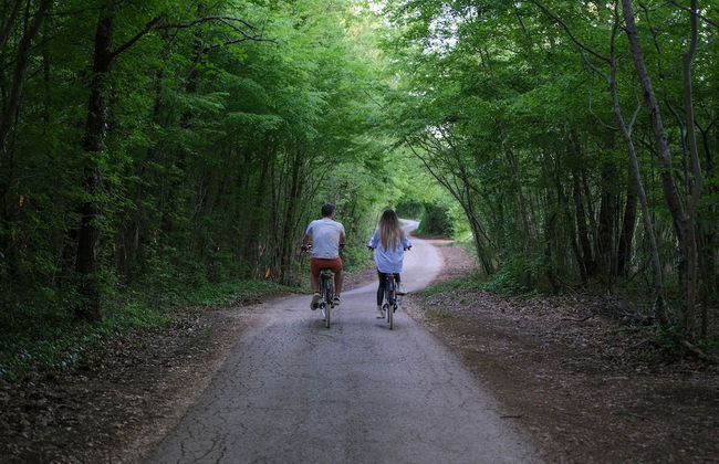 Villa PORTUM - Where Serenity & Comfort meet, Luxurious Woodland Retreat with Private Heated Pool & Amenities - Foto 31