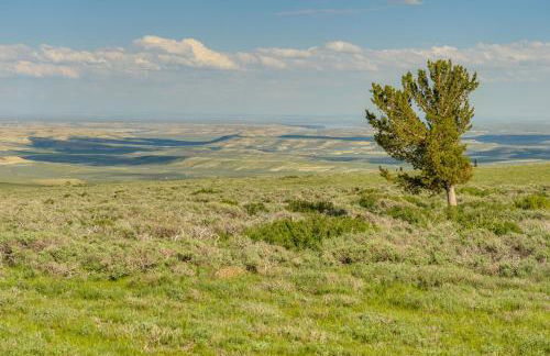 Remote Mountain Vacation Rental in Wyoming Range! - Foto 37