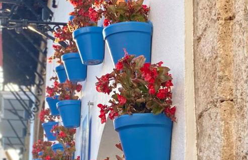 Residencia Jardin del Rio - Foto 35