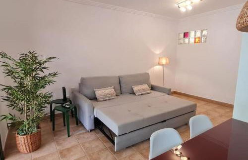 Jardín del Teide - Foto 21