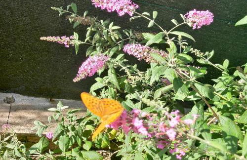 Villa in Italy With Private Garden Retreat - Foto 76