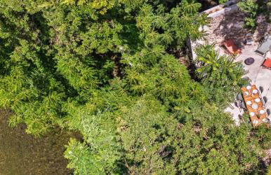 Le Moulin en cevennes - accès privé rivière - Foto 6