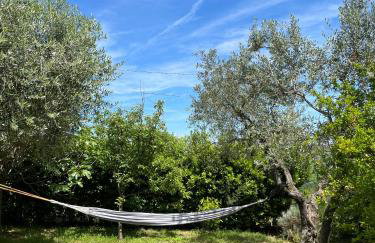 Casa Aldo nel cuore della Toscana - Foto 13