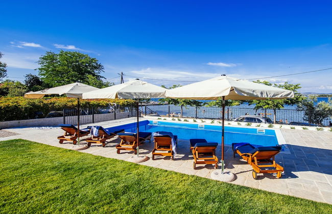 Dalmatian Pearls - Photo 47