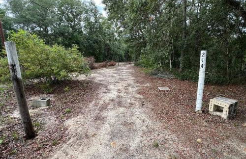 Half Moon Lake property - Foto 43