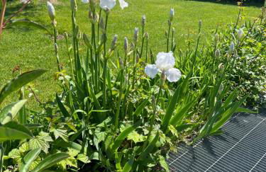 Casa della Regina - Foto 45