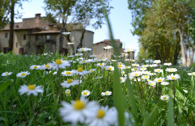 Agriturismo Nestore - Foto 51