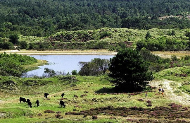 Chic Beachside Stay w/ Sauna - Foto 28