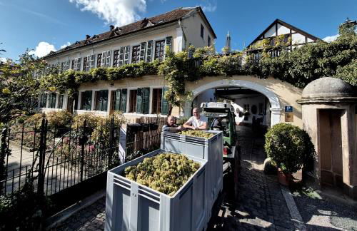 Unterkunft im Weingut Fitz-Ritter - Foto 15