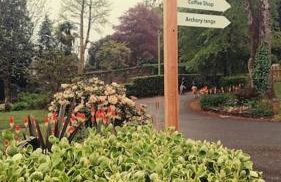 Bungalow 62,North Cornwall, St. Tudy - Foto 6