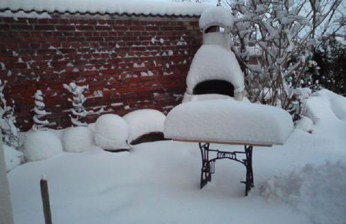 FeWo Direkt Am See - Malchow - Foto 30