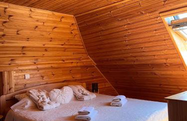 Kuća za odmor Markoci - Foto 28