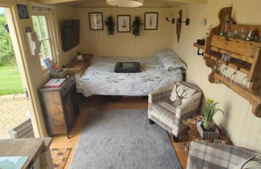 Shepherds haven hut Near Padstow - Foto 6