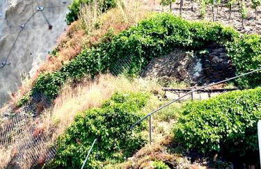 Ferienhaus Goldstück wohnen im Weinberg - Foto 49