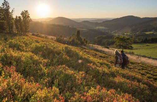 Ferienwohnung Dick - Foto 16