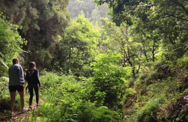 Apartment Ocean Gardens - Foto 17