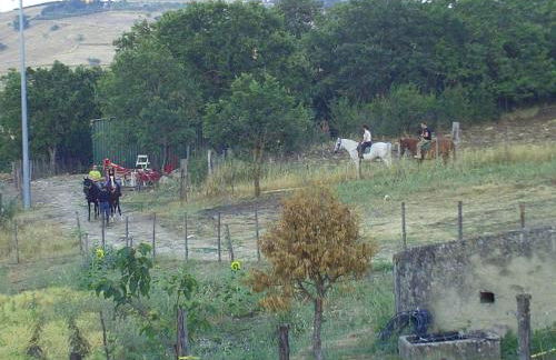 Agriturismo San Pietro - Foto 87