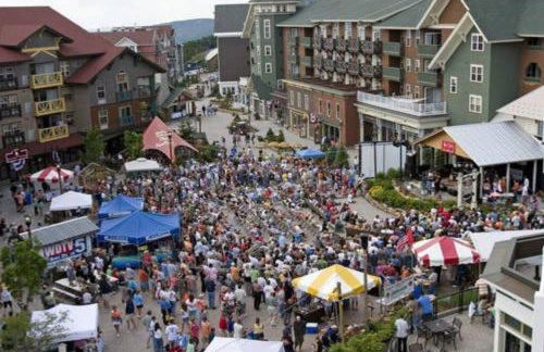 Snowshoe Mountain Studio! Renovated! - Foto 49