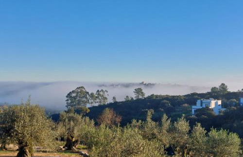 Casa Tosca - Foto 15