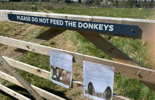 Luxury Shepherds Hut near Glamorgan Coast - Photo 23