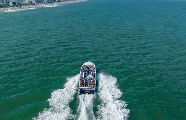 Observation de dauphins à Ocean City - Photo 2