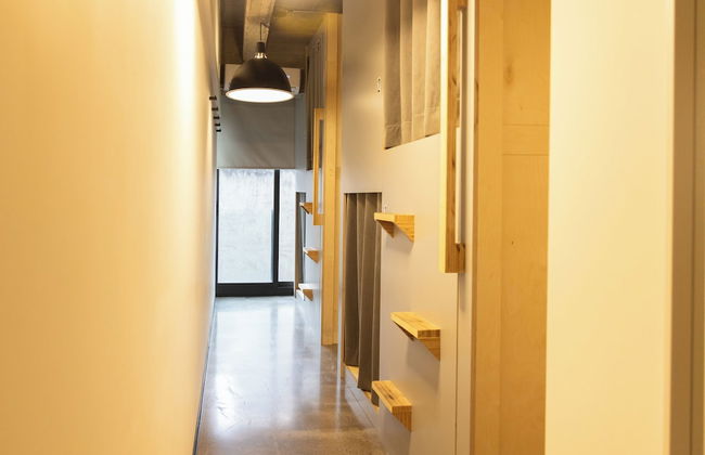 Triver Florencia - Foto 32