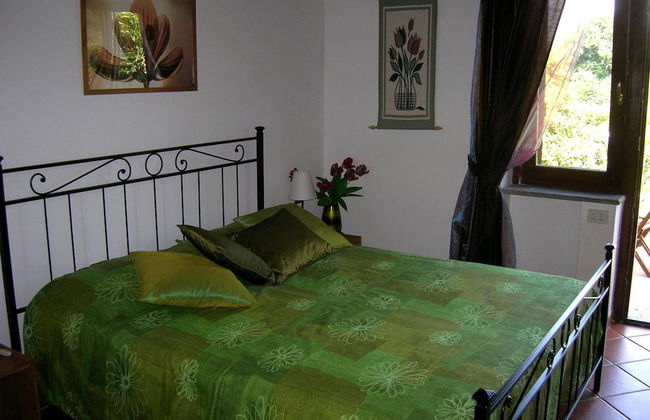 Olive Tree Hill - Foto 6