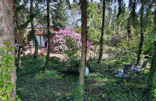 Ferienhaus Leon mit Sauna - Foto 13