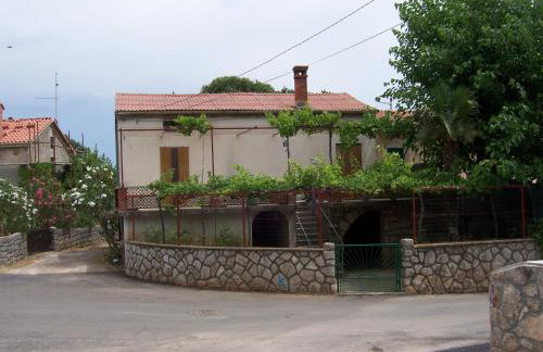 Apartment Dinka - Photo 1