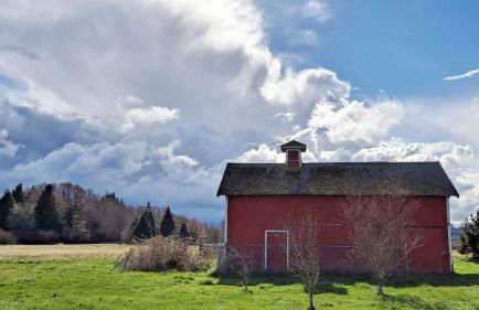 SQ The-Crab-Shack - Foto 20