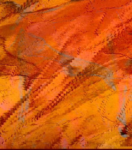 Foto de Excursión a Altamira y Santillana del Mar