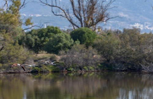 Precioso apartamento en Málaga al lado de la playa - Photo 18