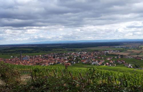 Gite premium, au Cœur de l'Ours - Foto 33