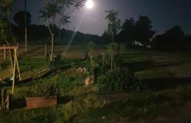 Azienda Agricola Cascina Monticone - Foto 7