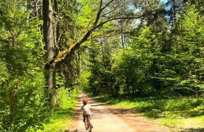 Apartament Magia Puszczy z widokiem na Puszcze Białowieska - Foto 53