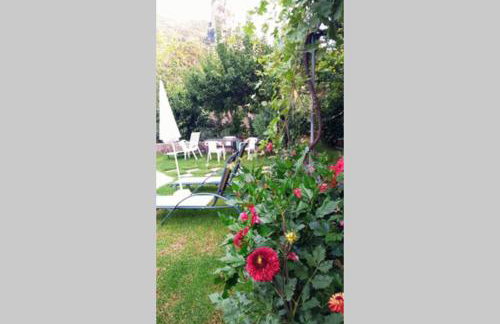 Katerinas House Apartment - Foto 5