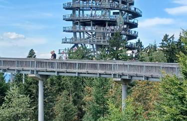 Ferienwohnung Maggie - Sankt Englmar - Foto 44