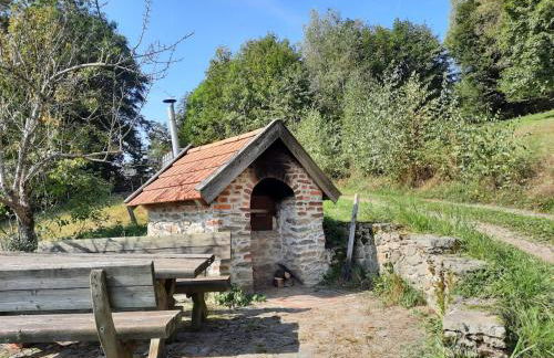 Kas Alm am Grandsberg - Foto 8