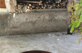 Rosa Apartments - Foto 5