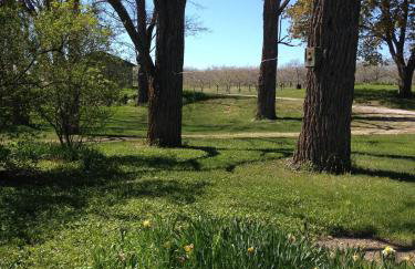 ☆Cherry Farmhouse☆60 Acres☆Central Air☆Fireplace - Foto 44