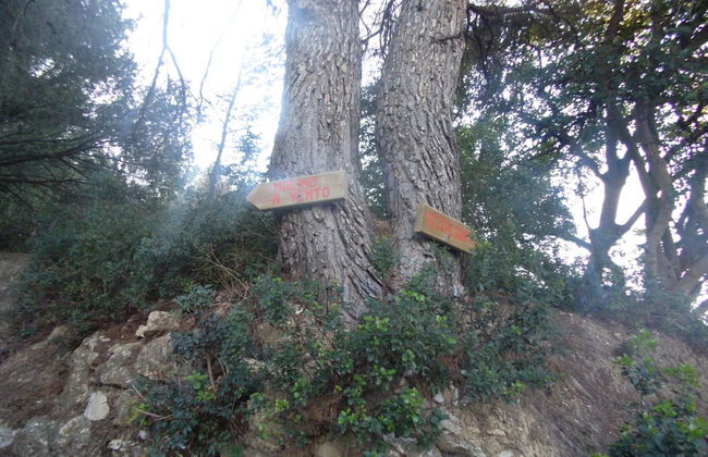 Colombo 7 in Marina di Andora - Foto 20