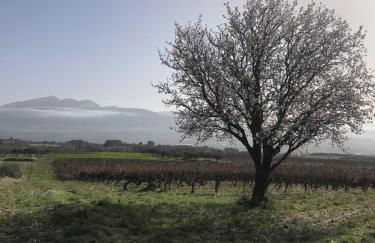 MAISON Drôme Provençale sur terrain 1500 m2 entièrement clos - Foto 35